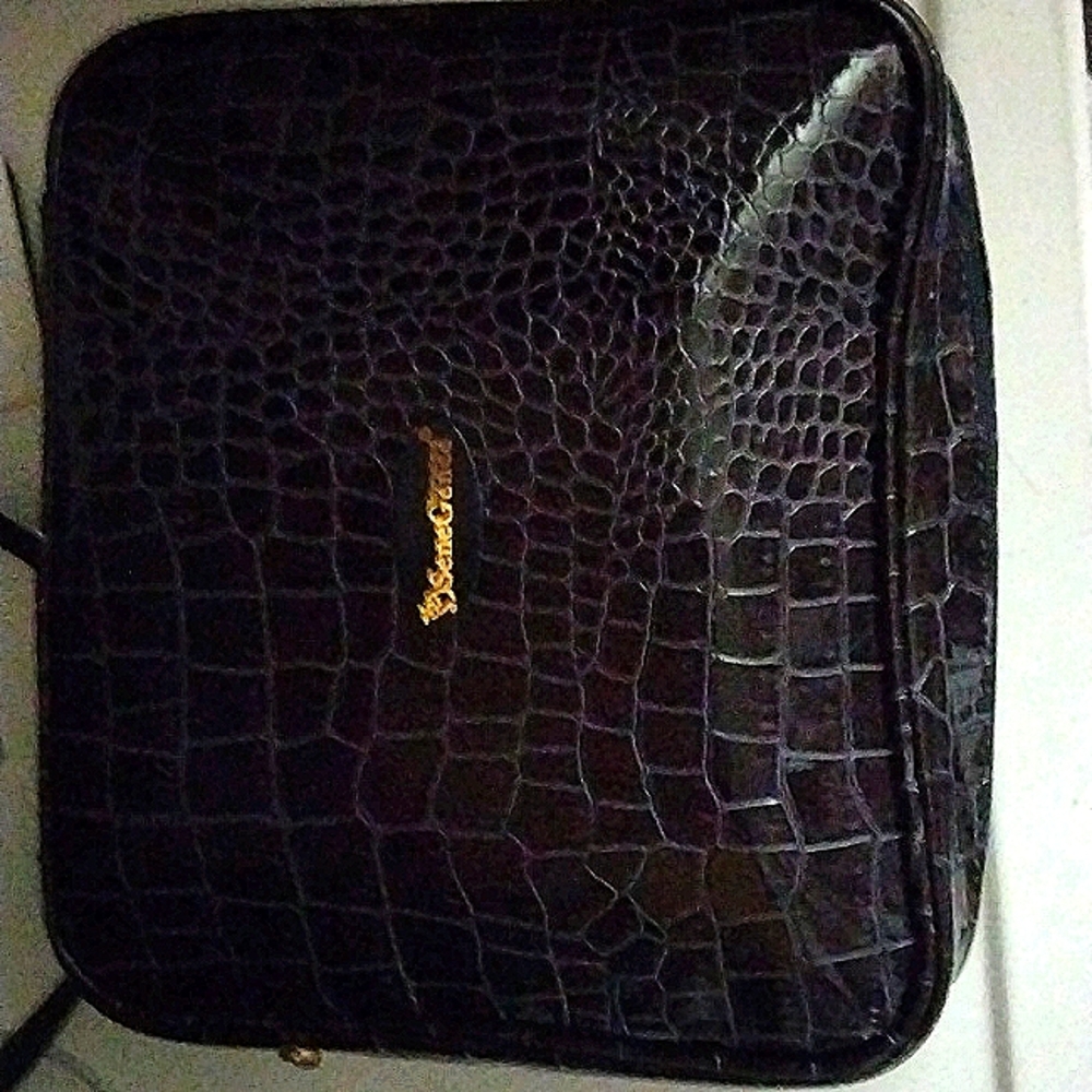 SeneGence cosmetics bag with added items!